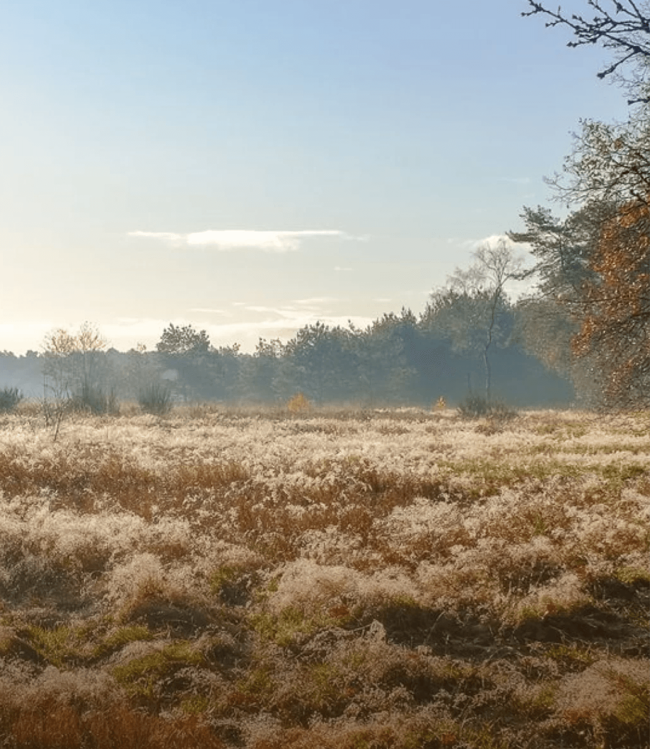 De Basis Crailo - Natuur